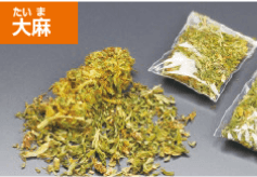 大麻（たいま）